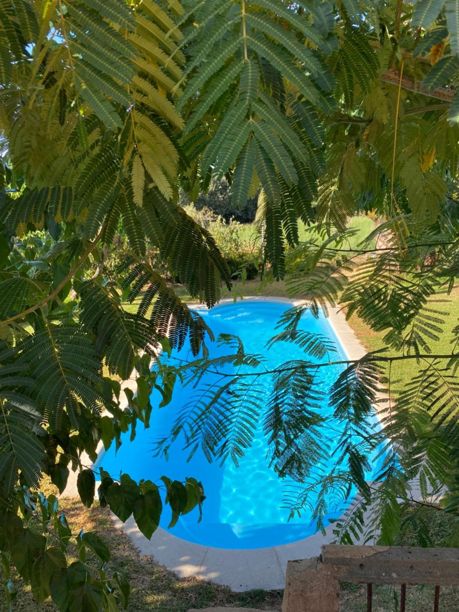 Willa Higueras Y Olivos Candeleda Zewnętrze zdjęcie